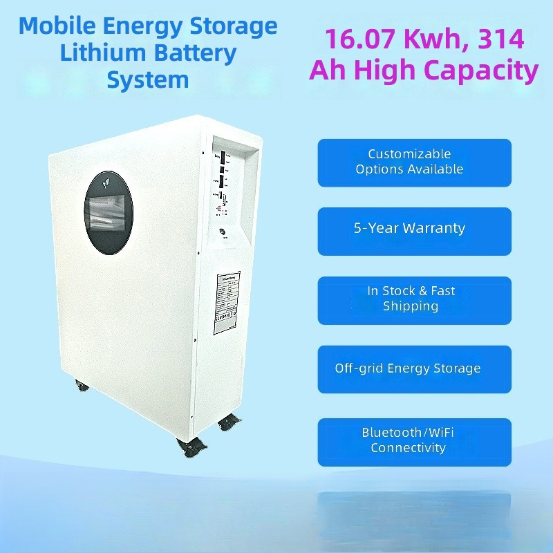 300AH314AH 대용량 리튬 배터리 48V51.2V - Solar Generator 리뷰 및 가격